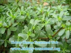 Can GFR 75 be Improved by Micro-Chinese Medicine Osmotehrapy