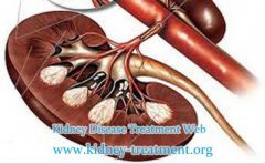 Stages of Lupus Nephritis and the Treatment of It