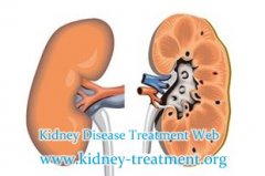 Kidney Shrink the Common Reasons and Treatment of It