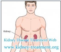 Is Shrinking Kidney a Symptom of Kidney Failure and How to Treat It