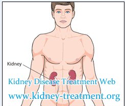 Is Shrinking Kidney a Symptom of Kidney Failure and How to Treat It
