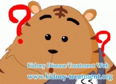 My Serum Creatinine Level is 1.8 What should I Do