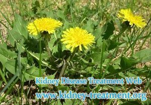 Chinese Herbals for the Treatment of Cysts on the Kidneys and the Names of Them