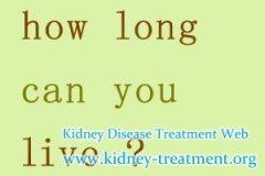 How Long Can a Transplant Kidney Last