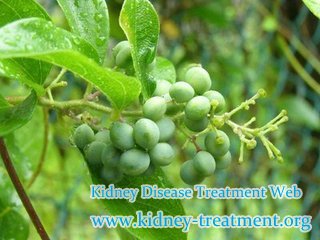 Why Chinese Medicine Can Help Kidney Failure Patient Avoid Dialysis