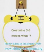 Creatinine Level of 3.6 What does that Means in Chronic Kidney Disease