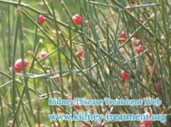 Is there Any Type of Herb for Kidney Disease Patient with Severe Edema