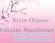 Micro-Chinese Medicine Osmotherapy is Helpful for the Treatment of IgA Nephropathy