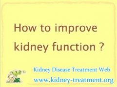 Kidney Disease Patient with Creatinine Level 5.4 How to Improve Kidney Function