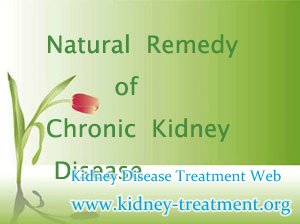 What are the Natural Remedies of Chronic Kidney Disease