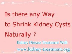 Is there any Way to Shrink Kidney Cysts Naturally