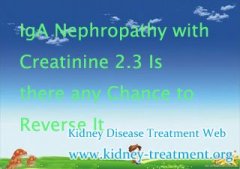 IgA Nephropathy with Creatinine 2.3 Is there any Chance to Reverse It