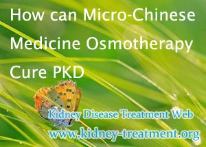 How can Micro-Chinese Medicine Osmotherapy Cure PKD
