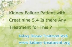 Kidney Failure Patient with Creatinine 5.4 Is there Any Treatment for This
