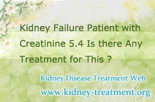 Kidney Failure Patient with Creatinine 5.4 Is there Any Treatment for This