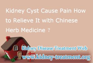 Kidney Cyst Cause Pain How to Relieve It with Chinese Herb Medicine