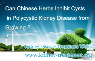 Can Chinese Herbs Inhibit Cysts in Polycystic Kidney Disease from Growing