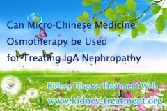 Can Micro-Chinese Medicine Osmotherapy be Used for Treating IgA Nephropathy