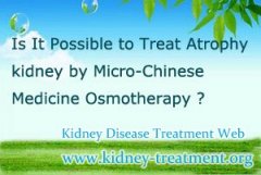 Is It Possible to Treat Atrophy kidney by Micro-Chinese Medicine Osmotherapy