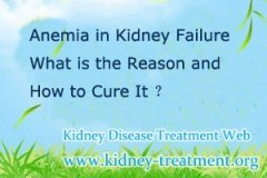 Anemia in Kidney Failure What is the Reason and How to Cure It