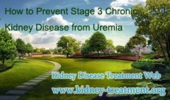 How to Prevent Stage 3 Kidney Disease from Uremia