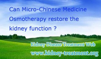 Can Micro-Chinese Medicine Osmotherapy Restore the Kidney Function