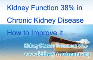 Kidney Function 38% in Chronic Kidney Disease How to Improve It