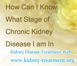 How Can I Know What Stage of Chronic Kidney Disease I am In