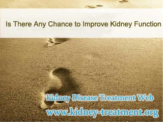 Is There Any Chance to Improve Kidney Function in Hypertensive Nephropathy