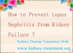 How to Prevent Lupus Nephritis from Kidney Failure