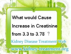 What would Cause Increase in Creatinine from 3.3 to 3.78 within 2 Months