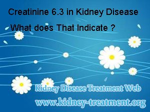 Creatinine 6.3,kidney disease,Creatinine 6.3 in kidney disease what does that indicate