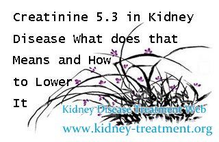 Creatinine 5.3 in Kidney Disease What does that Means and How to Lower It