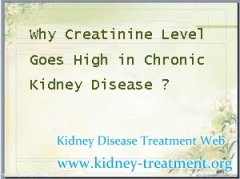 Why Creatinine Level Goes High in Chronic Kidney Disease