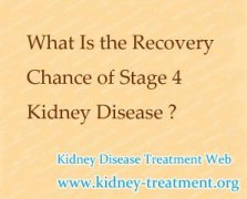 What Is the Recovery Chance of Stage 4 Kidney Disease