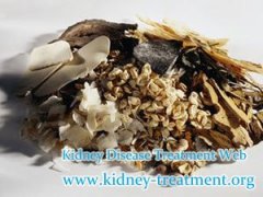 What Chinese Herbal Medicines are Helpful for Improving Kidney Functions