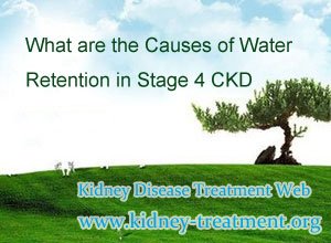What are the Causes of Water Retention in Stage 4 CKD