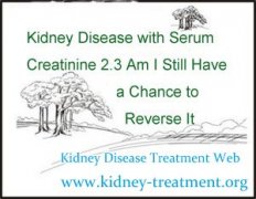 Kidney Disease with Serum Creatinine 2.3 Am I Still Have a Chance to Reverse It