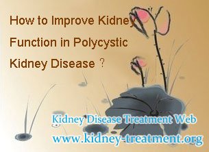 How to Improve Kidney Function in Polycystic Kidney Disease