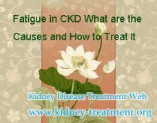 Fatigue in CKD What are the Causes and How to Treat It