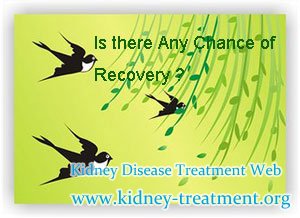Is there Any Chance of Recovery for Renal Parenchymal Disease
