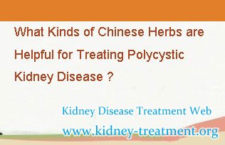 What Kinds of Chinese Herbs are Helpful for Treating Polycystic Kidney Disease
