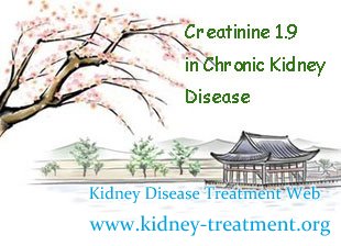 Creatinine 1.9 in Chronic Kidney Disease Is It Possible to Reverse It