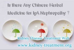 Is there Any Chinese Herbal Medicine for IgA Nephropathy