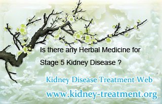 Is there any Herbal Medicine for Stage 5 Kidney Disease
