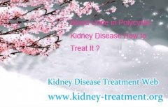 Blood Urine in Polycystic Kidney Disease How to Treat It