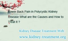Lower Back Pain in Polycystic Kidney Disease What are the Causes and How to Treat It