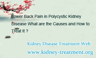 Lower Back Pain in Polycystic Kidney Disease What are the Causes and How to Treat It 