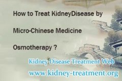 How to Treat Kidney Disease by Micro-Chinese Medicine Osmotherapy