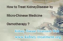 How to Treat Kidney Disease by Micro-Chinese Medicine Osmotherapy